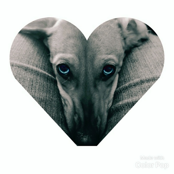 Meet your Posher, Sona - Picture 1 of 1